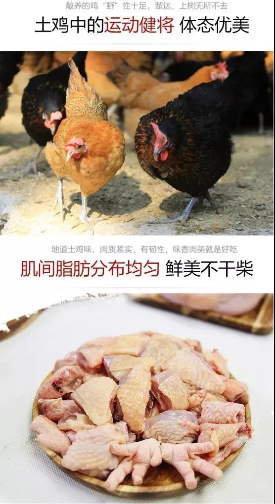 產(chǎn)品介紹.jpg